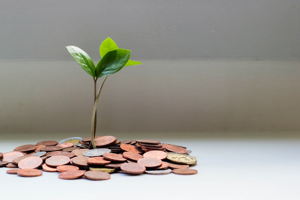 CVAE et intégration fiscale : opportunité de dégrèvement pour les sociétés intégrées